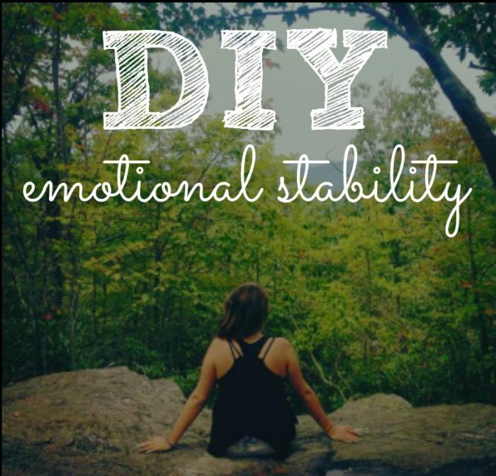 Stability emotional peaceful guide life blogs ranging emotions crave