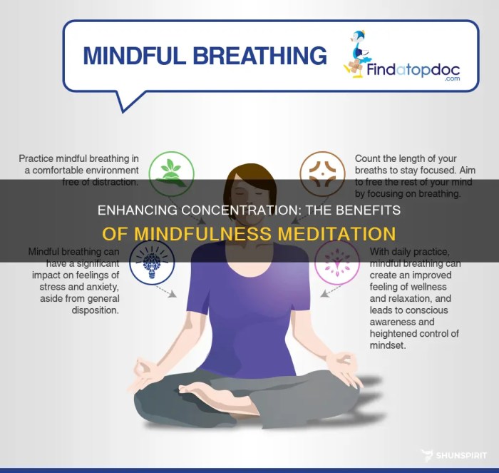 Enhancing concentration cbd How to Meditate for Enhancing Your Concentration