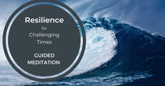 Emotional resilience How to Meditate for Developing Greater Emotional Resilience