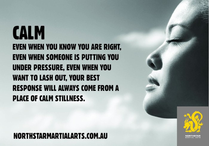 Calm staying martial remain stillness How to Meditate for Strengthening Your Ability to Stay Calm Under Pressure
