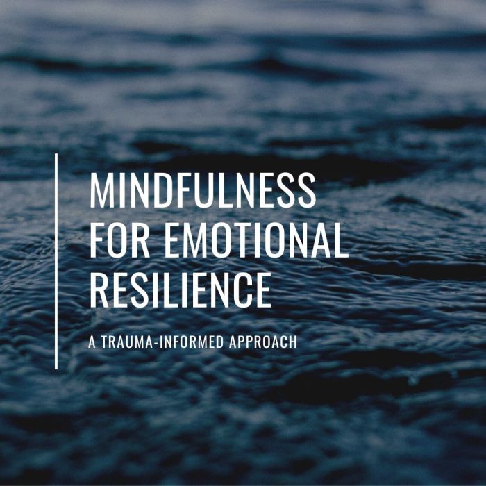 How to Meditate for Building Mental Clarity and Emotional Resilience